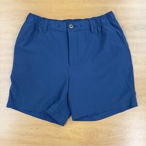 Chubbies Men's Blue Shorts